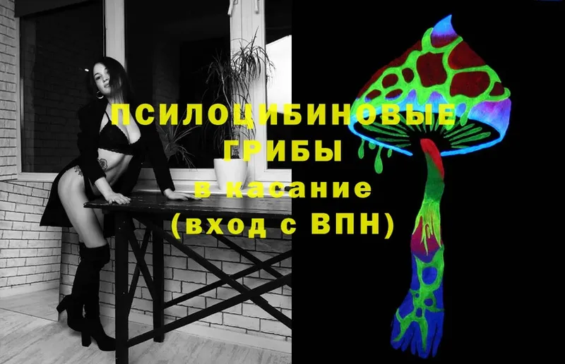 Галлюциногенные грибы Cubensis  Раменское 